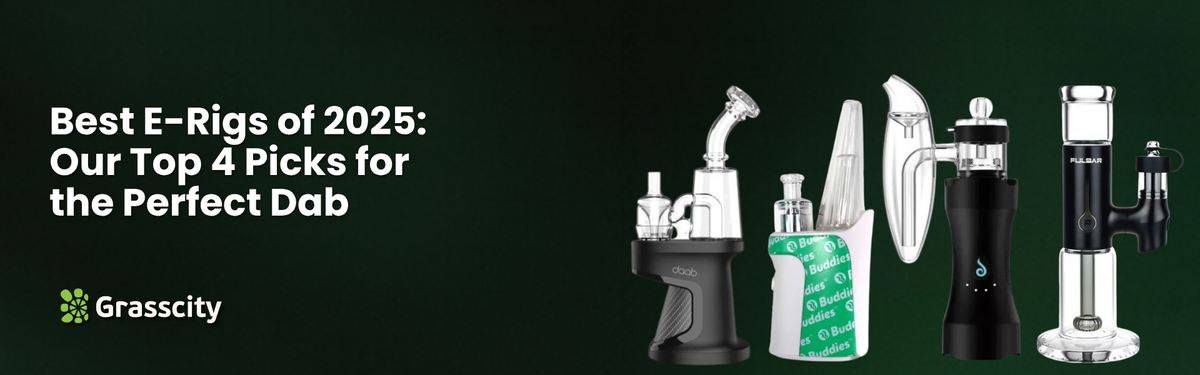 Best E-Rigs of 2025: Our Top 4 Picks for the Perfect Dab