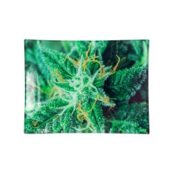 V Syndicate Small Glass Rolling Tray | Strain AK-47