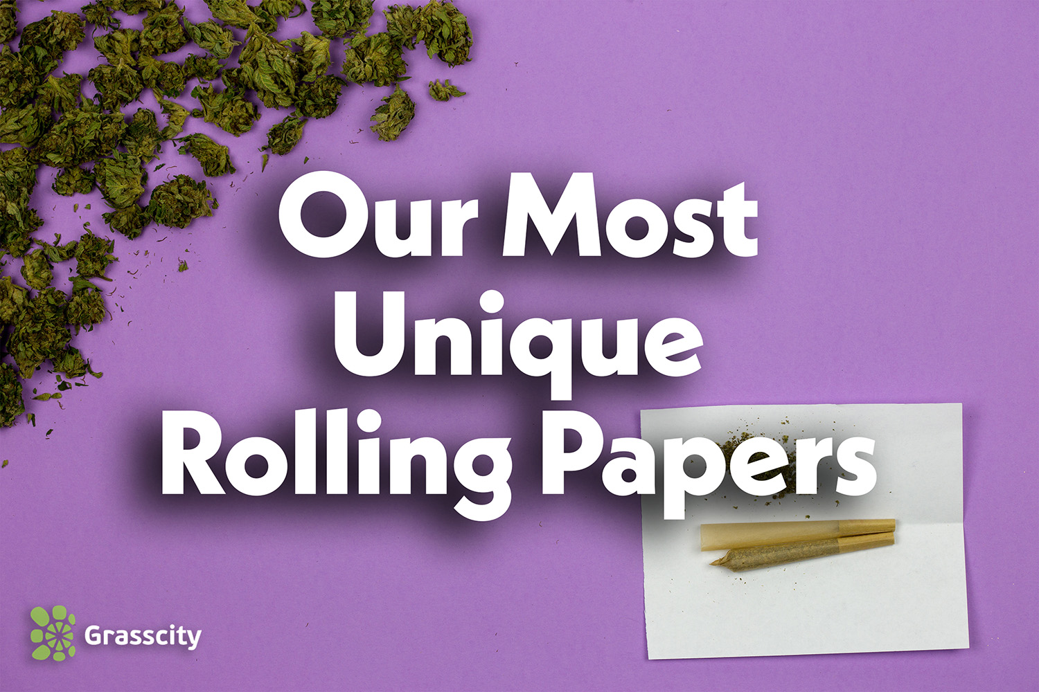 Top 10 most unique rolling papers Grasscity® UK